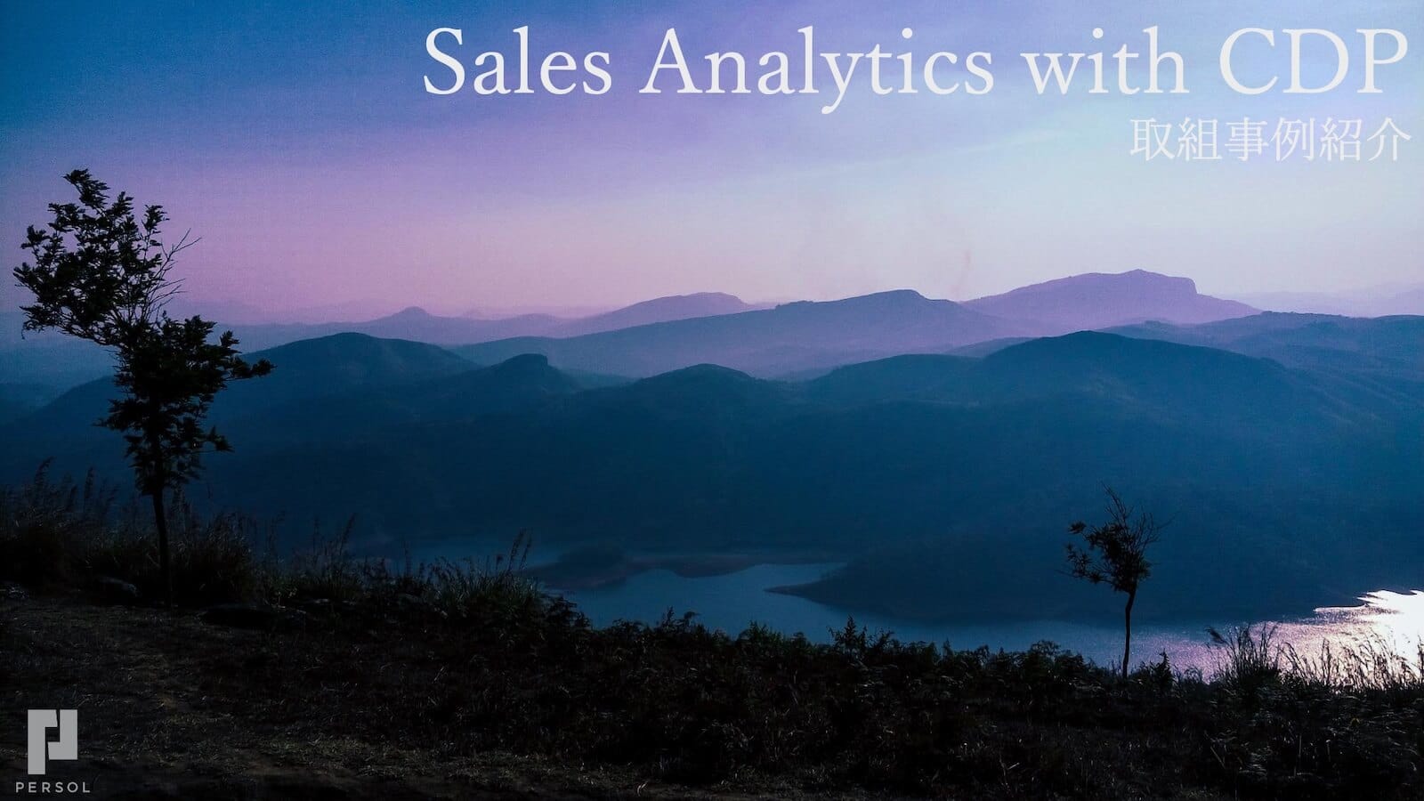 Sales Analytics with CDP 取組事例紹介