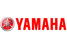 Customer Logo