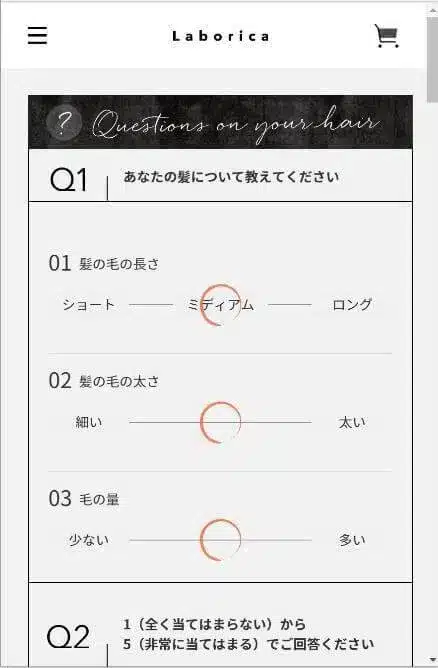 Laboricaの毛髪診断
